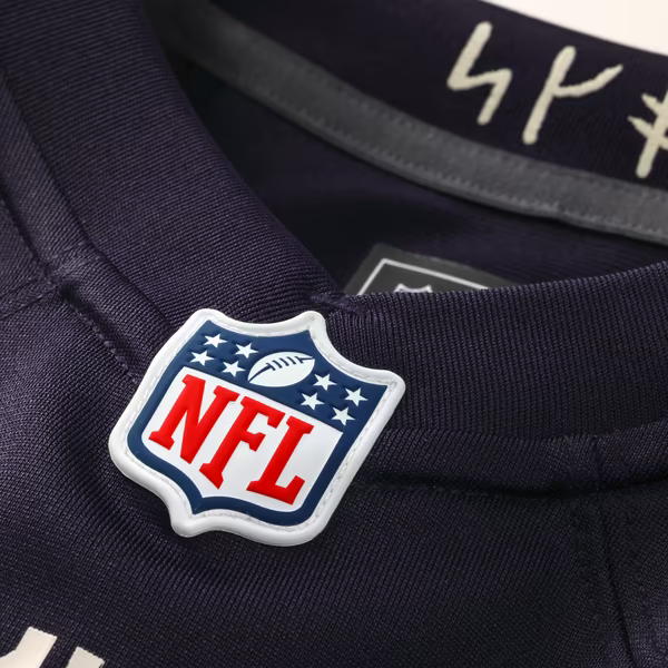 Andrew Van Ginkel Minnesota Vikings Nike 2026 Rivalries Collection Game Jersey - Purple