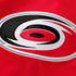 Town Jersey Fanatics Sebastian Aho Carolina Hurricanes Alternate Jersey