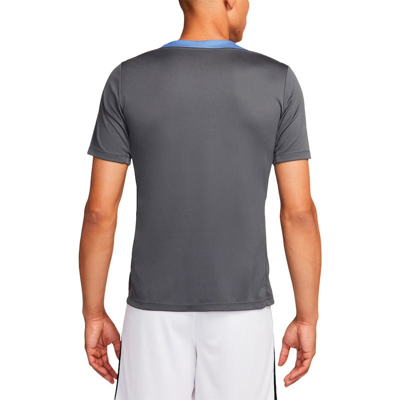 Tottenham Hotspur Nike 2024/25 Strike Performance Top - Gray