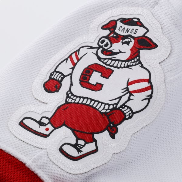 Town Jersey Andrei Svechnikov Carolina Hurricanes Fanatics Away Jersey