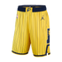 Town Jersey Indiana Pacers Jordan Statement Swingman Shorts - Gold