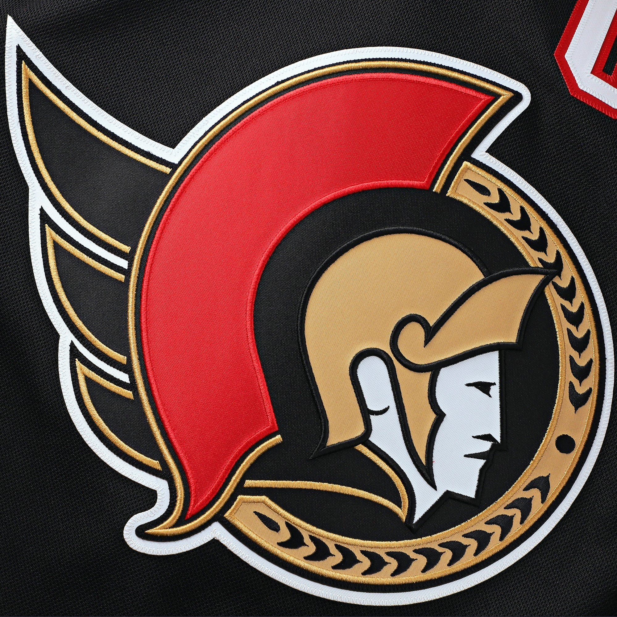 Town Jersey Fanatics Ottawa Senators Home Premium Custom Jersey