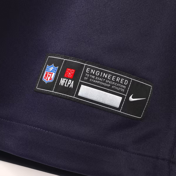 Andrew Van Ginkel Minnesota Vikings Nike 2026 Rivalries Collection Game Jersey - Purple