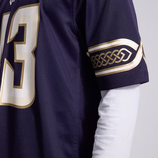 Andrew Van Ginkel Minnesota Vikings Nike 2026 Rivalries Collection Game Jersey - Purple