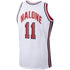 Town Jersey Mitchell & Ness Karl Malone 1992 USA Jersey White