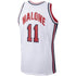 Town Jersey Mitchell & Ness Karl Malone 1992 USA Jersey White