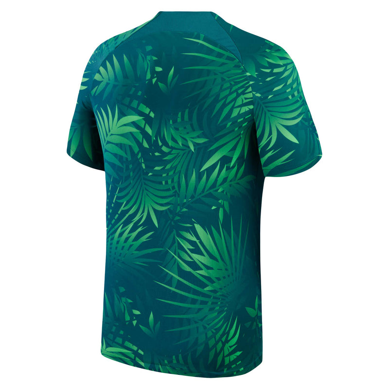 Brazil Women's National Team Nike 2023 Academy Pro Pre-Match Top - Green